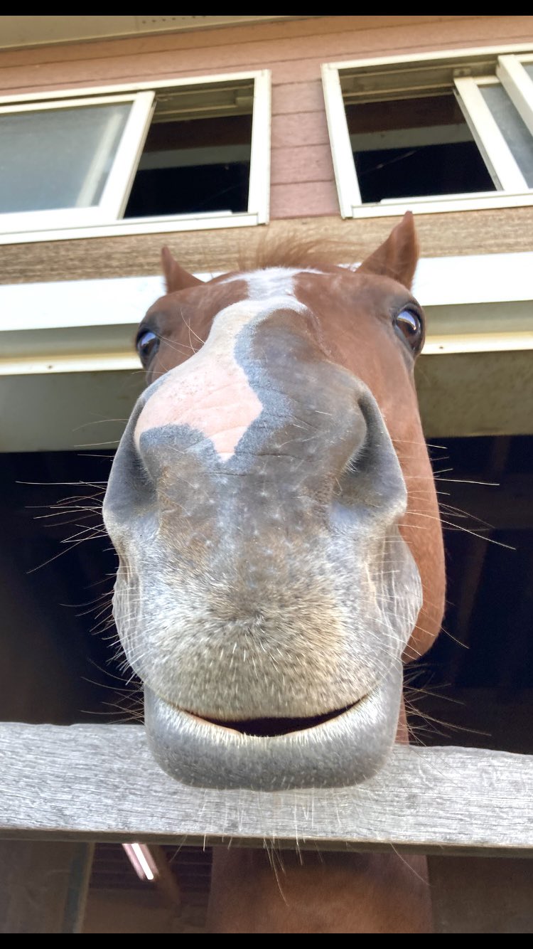 【専用】雑誌2点、OIL4点、ウサギ4点、箱4点　狐1点、宇宙愛1点で計15点！ Bunpt on X: 