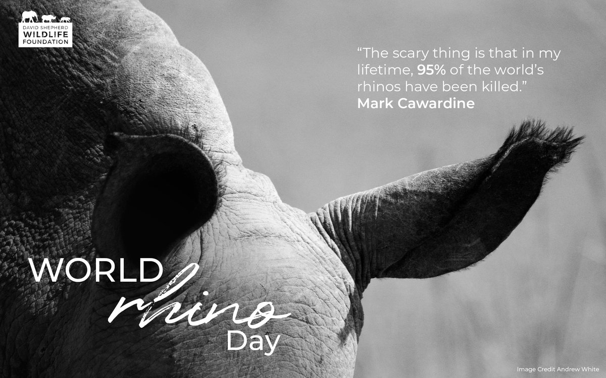 David Shepherd Wildlife Foundation tweet media