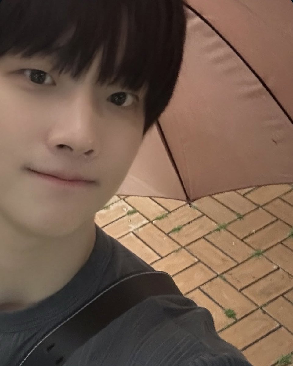 ☔️                                                      🐶