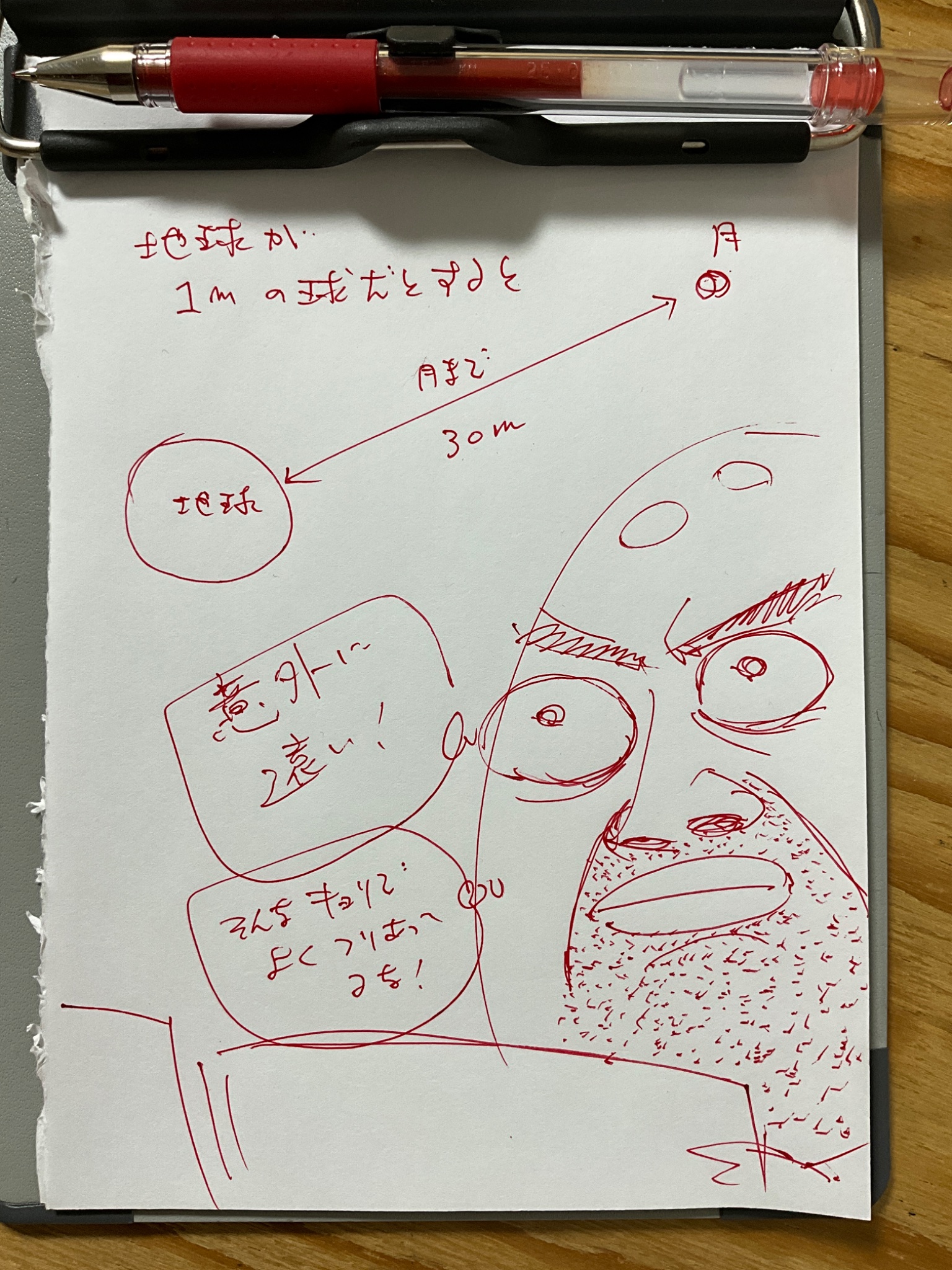 【再々値引き】アフロ田中 再々値引き】アフロ田中