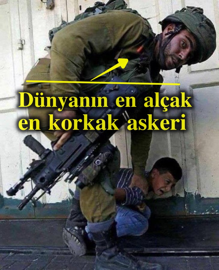 Bunlar dünyanın en korkak,en merhametsiz,en ALÇAK askeri.
ALLAH'ın laneti üzerlerine olsun! 
🤲🤲

------
#sallandık / Kaan / #deprem / Doğuş İnşaat / Fatih Altaylı / Nagehan / Ali Koç