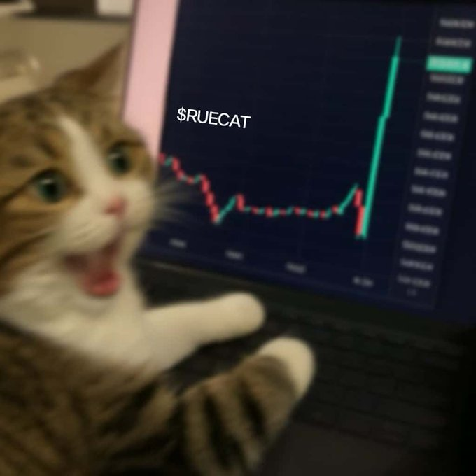 TheMemeFather7's tweet photo. @ruecatsolana If I sell, then I'm a big fool
I won't sell friends, cos $RUECAT is going to the moon

ABDqEeU3YBHZu48XRXbVywrY2Botv4jhufRmEgTz36s1

@ruecatsolana will SOAR 

#ruecat #ruecatonsol #solana #bitcoin #sol $memecoins #altcoins #shiba #pepe #doge #binance📷 #mexc📷 #gate #bybit #okx https://t.co/9N0GrKMyU3