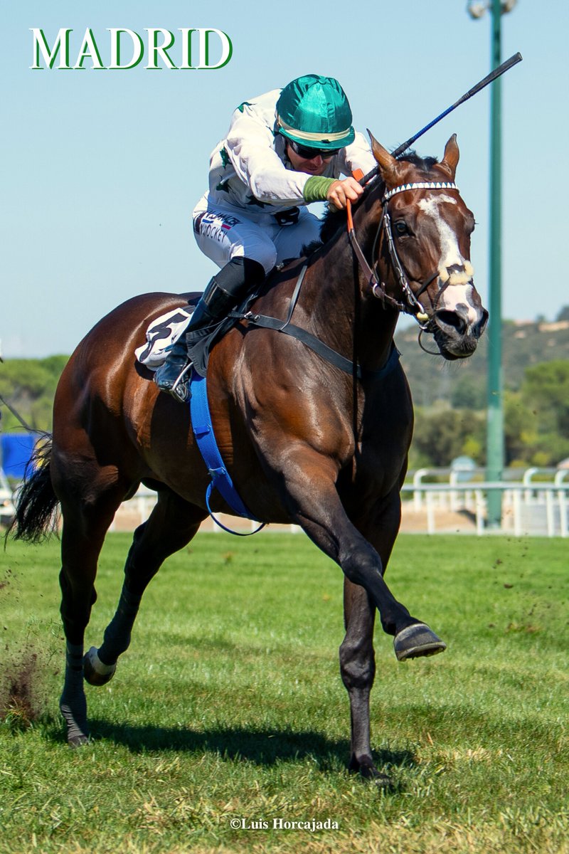 LUIS HORCAJADA (@luishorcajada66) on Twitter photo  LUIS HORCAJADA (@luishorcajada66) on Twitter photo