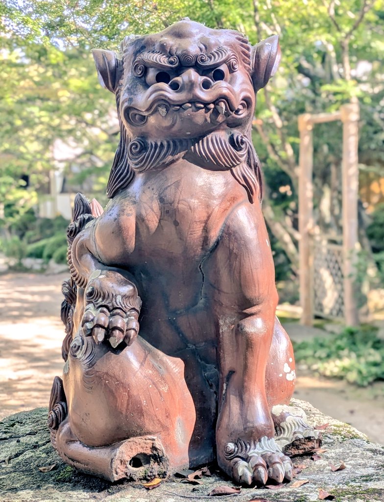 膝を打つ備前焼狛犬には初めてお会いしました
何か意味のあるポーズなのかな?