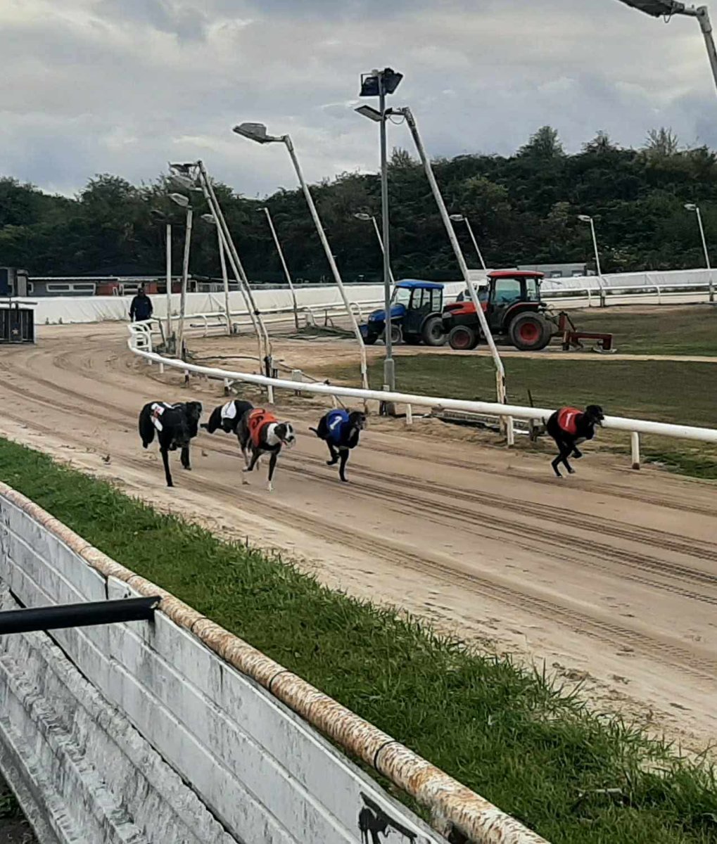 Towcester Racecourse Greyhounds tweet media