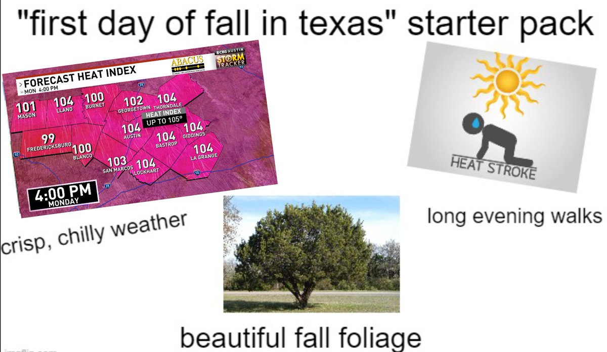 Avery Tomasco tweet media