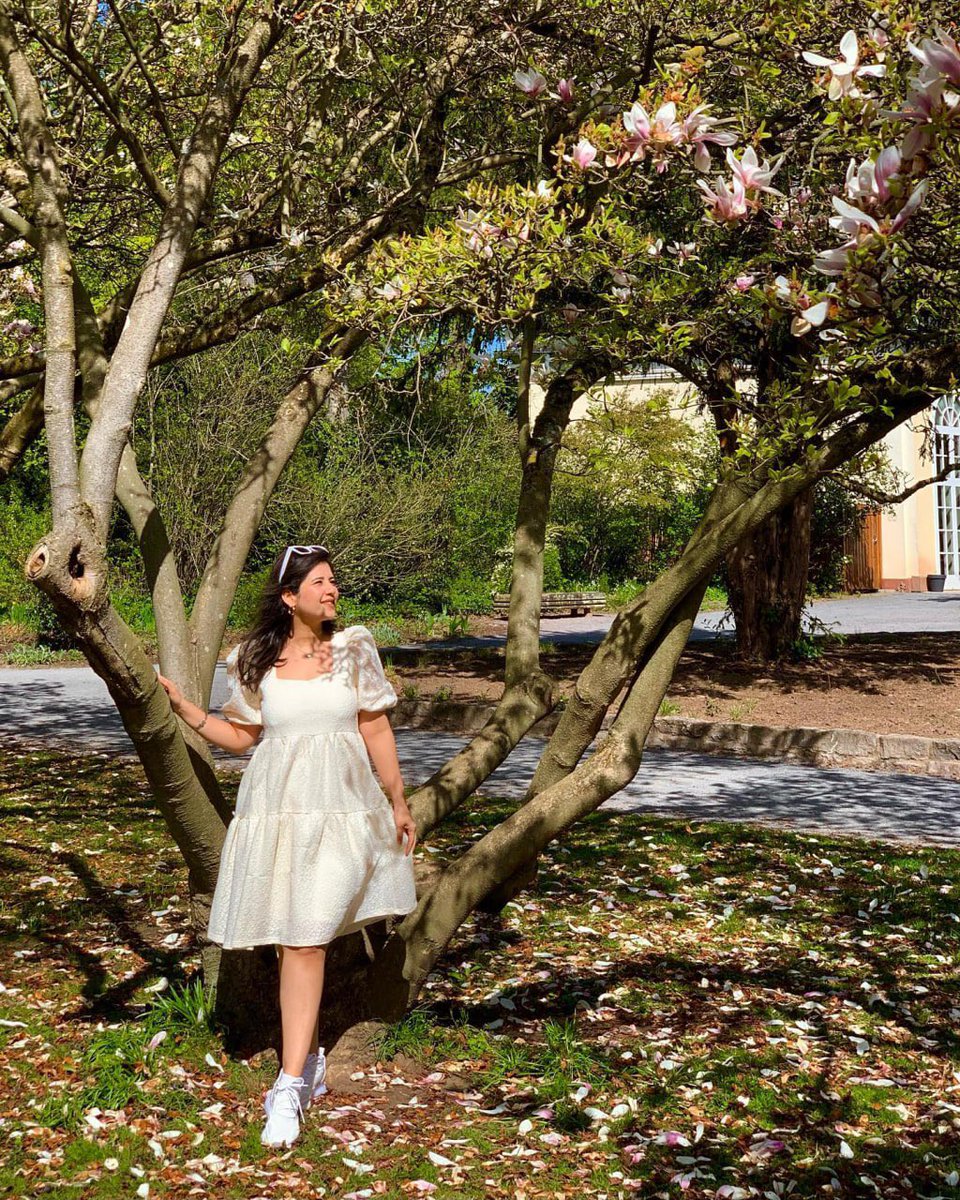 Siwanisharma77's tweet image. Which season makes you feel the most alive spring, summer, autumn, or winter? 🌸☀️🍂 #SpringVibes #NatureLovers #FlowerMagic #SunnyDays #PeacefulMind #PositiveEnergy #BloomingBeauty #GardenGlow