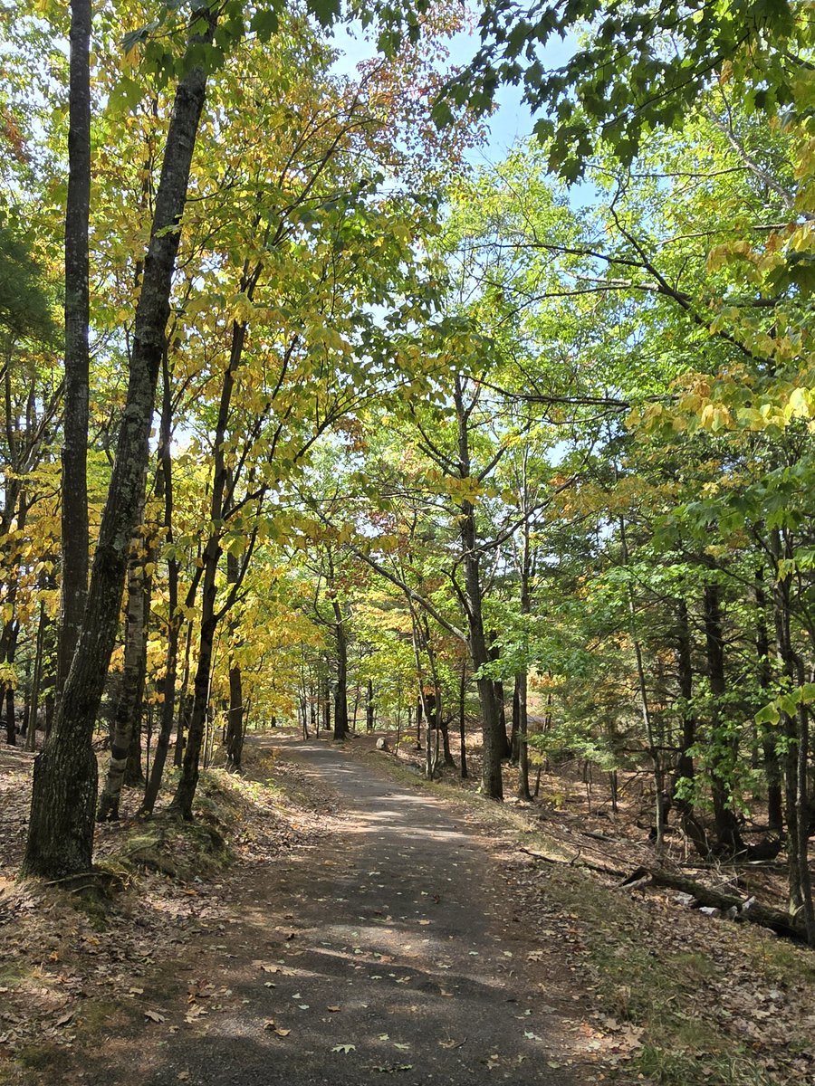 theukpa86's tweet image. #HelloFall #MondayMotivation good morning everyone 🍂🍁🎃