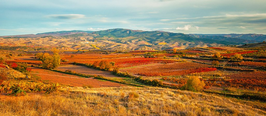 🍇 #LaRioja en otoño es pura magia 🍂

Cuando llega esta estación, los viñedos de #LaRioja se tiñen de rojos, ocres y dorados. Pasear entre cepas que parecen pintadas, respirar aire fresco entre barricas y disfrutar del enoturismo en su máximo esplendor… ¡es una experiencia