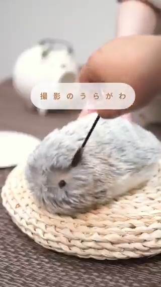 公式】Moflin（モフリン）｜感情が育つAIペット (@casio_moflin) / X