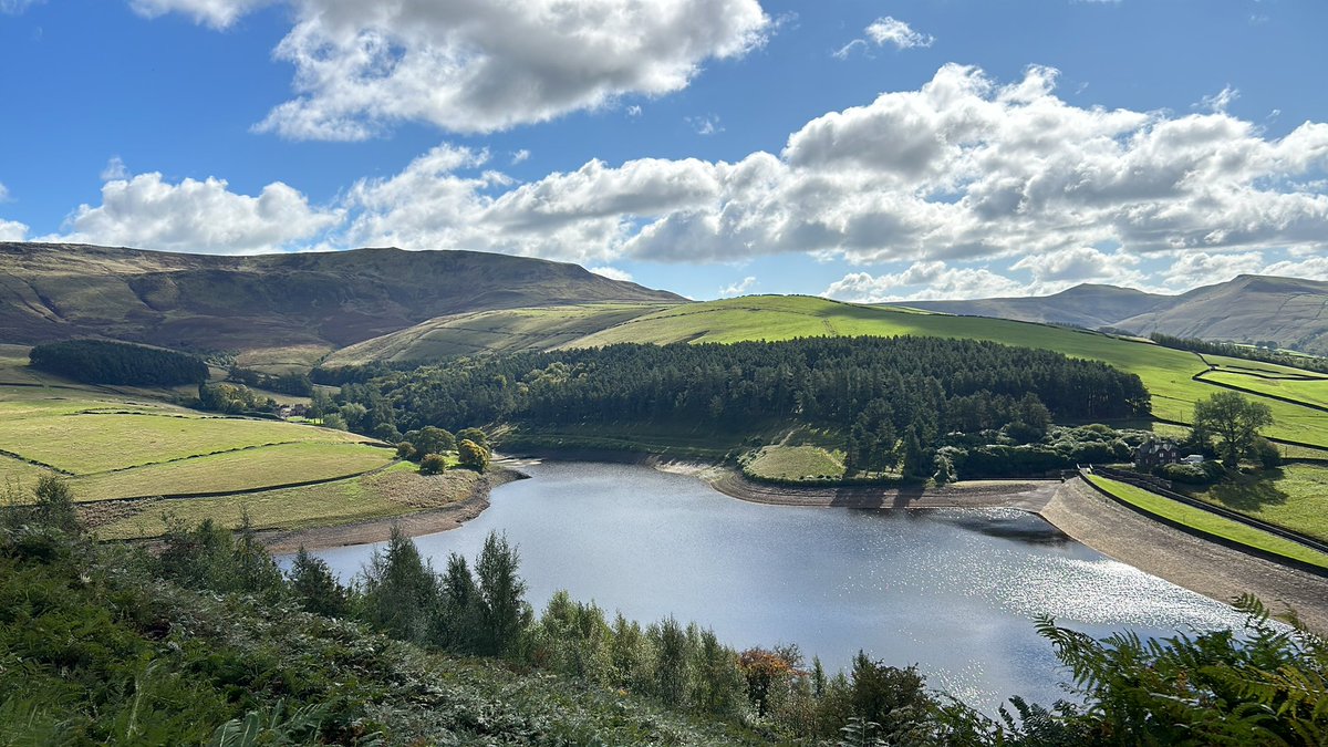 I went hiking ! My feet are in pain but now I know what peak irl is like :3