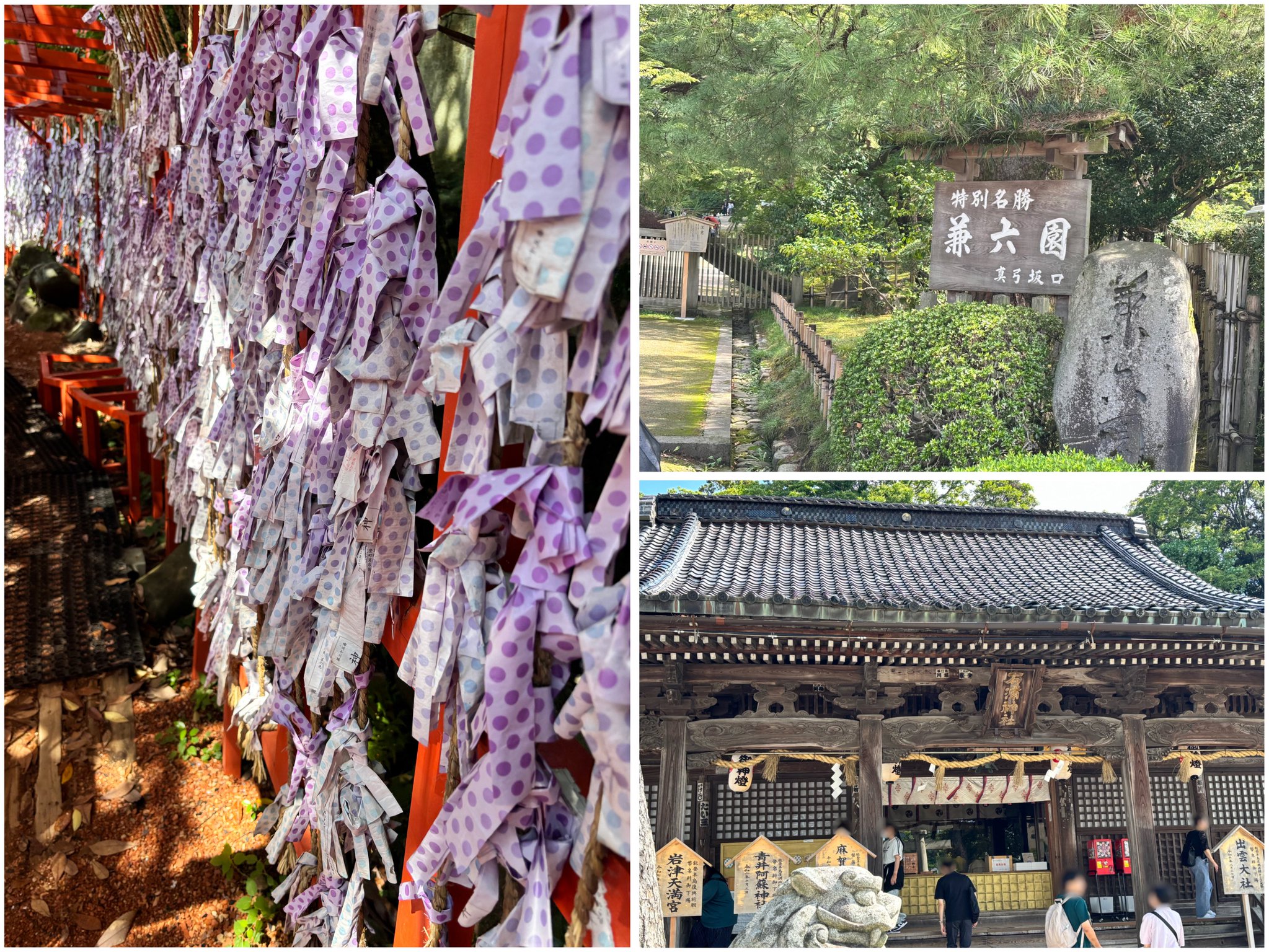 掛け軸 「 桜」箕輪虹遊 作　三越美術館 ☆ USED Amazon｜箕輪翠香『彩色山水』日本画 ・掛け軸・風景画・【真筆