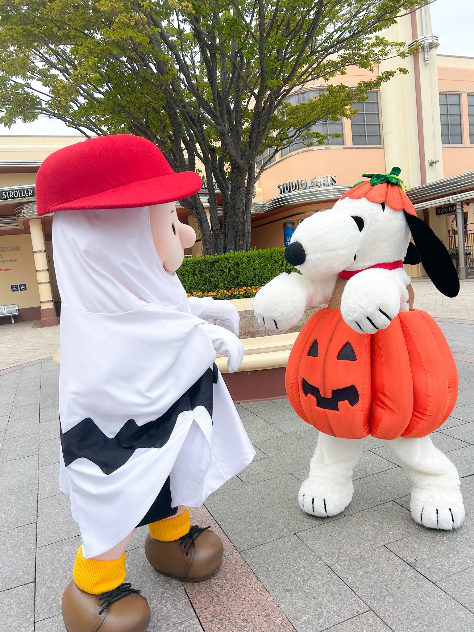 どらしぃ (@sanji_snoopy32) / X
