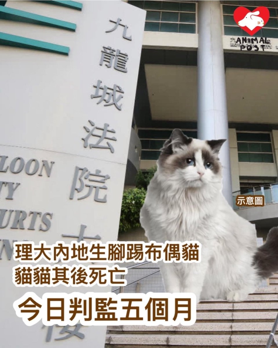 #連動物都唔放過的內地畜牲！💔😵‍💫😡