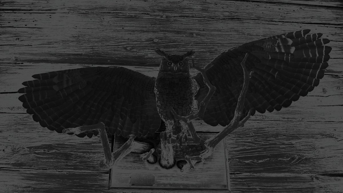 MichBorg98's tweet photo. Alan Wake 2 🦉 

#TCCMonochrome #VPinBW
#TheCapturedCollective 
#VirtualPhotography 
#AW2PhotoMode #RMD30 
#PhotoModeMonday https://t.co/9G7IjHhos0