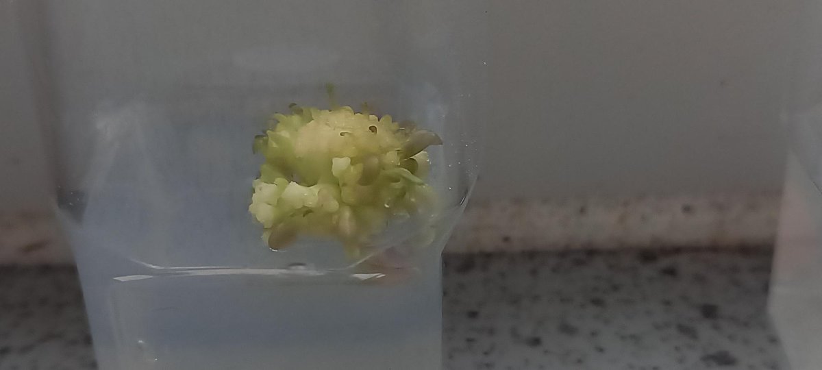 National Centre for Biotechnology Education tweet media