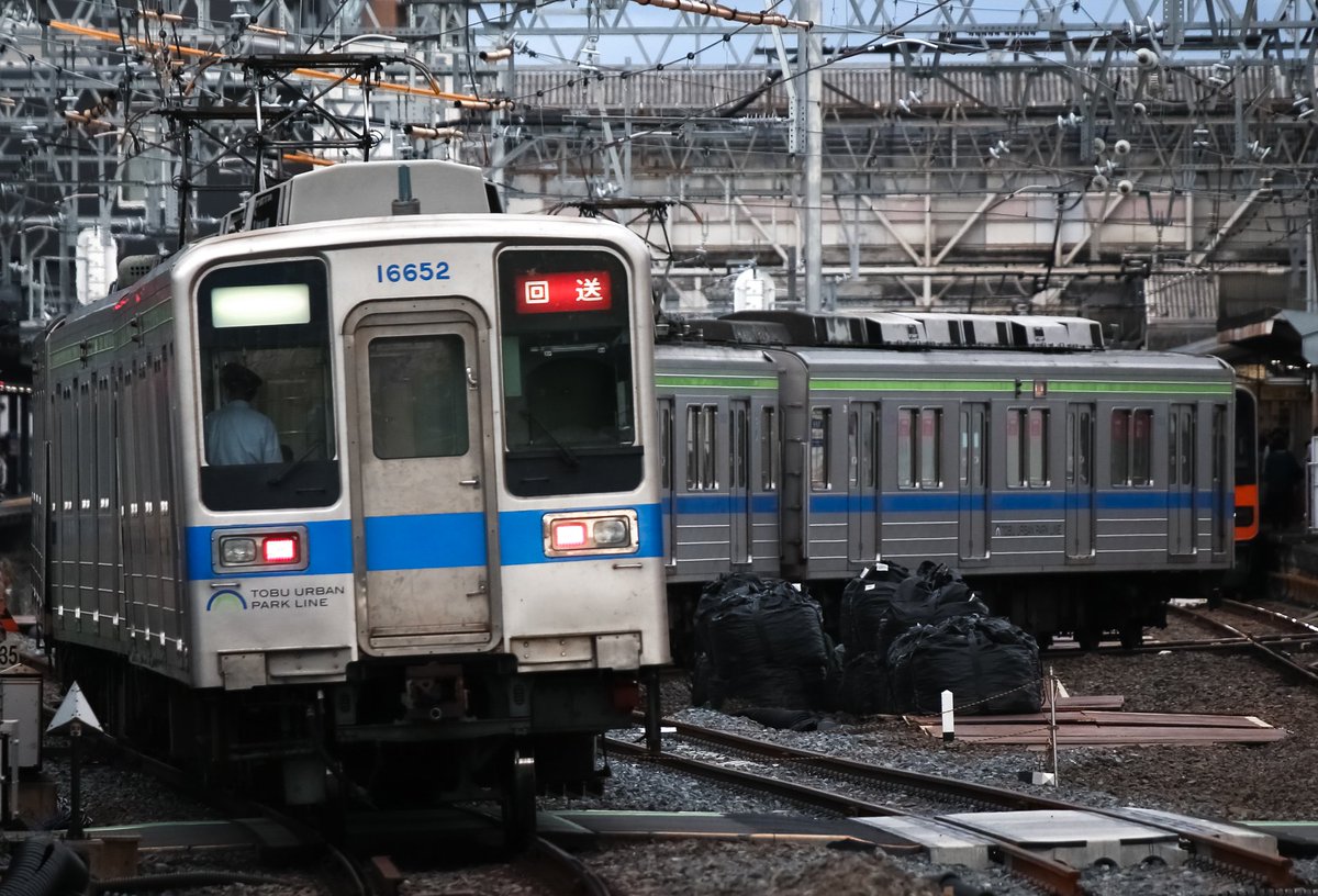 熊三郎。 3.3寸丸がま口 まるだるま｜亥之吉