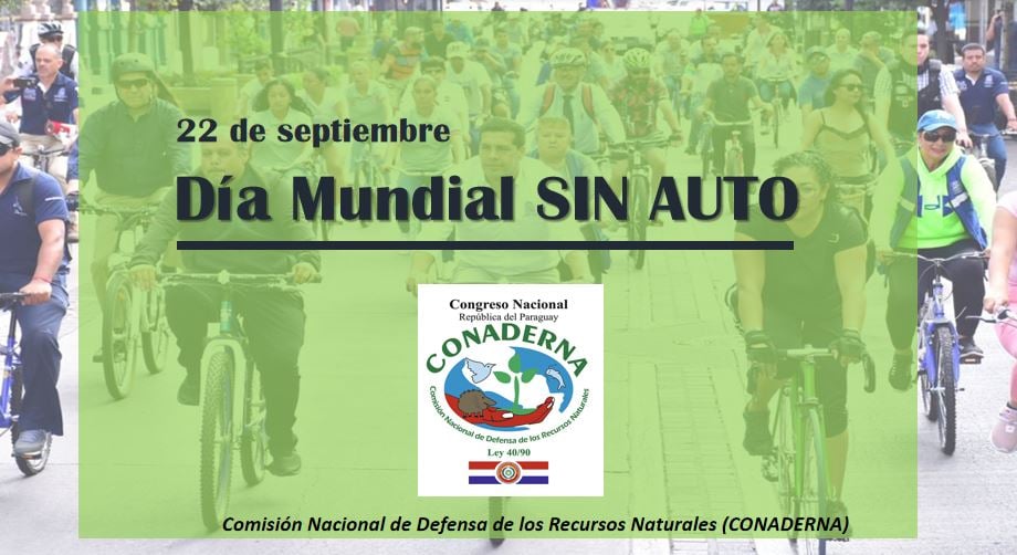 CONADERNA PARAGUAY tweet media