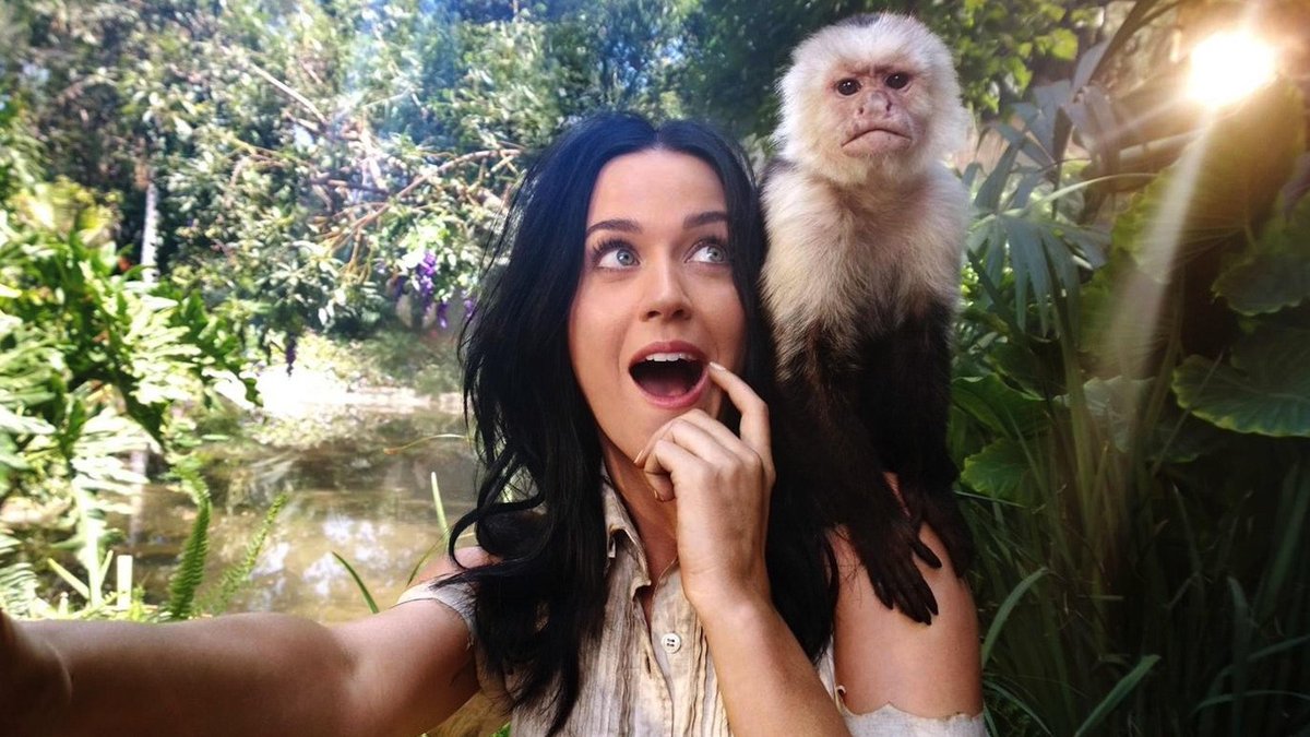 perry_charts's tweet image. “Roar” and “Dark Horse” by Katy Perry views gained yesterday on Youtube
Dark Horse: 978K
Roar: 828K