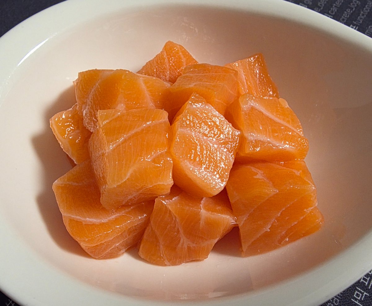 연어먹는곰 tweet media