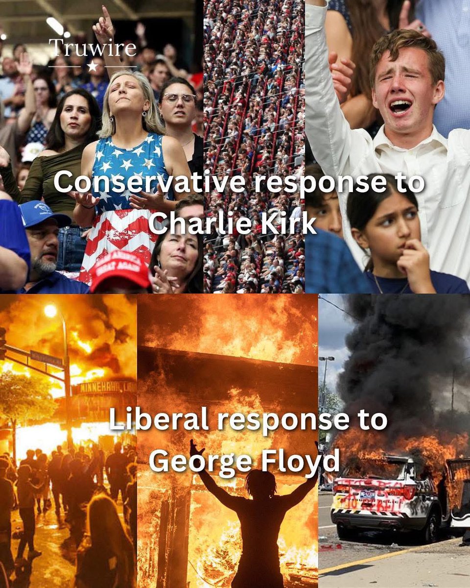 motDOGEmemes (@memermot) on Twitter photo 