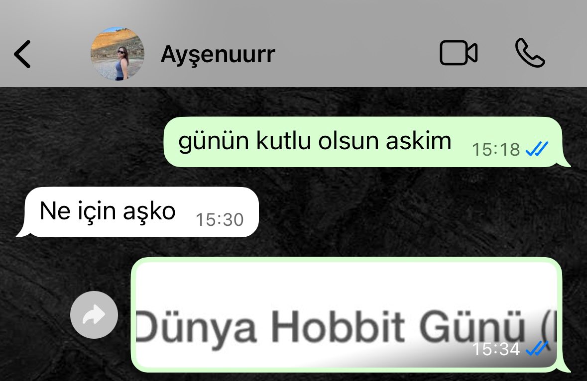 ben de bunu seviyorum