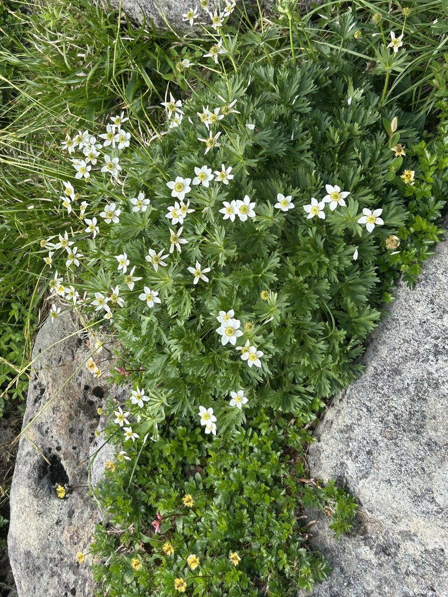 好きな音楽や
好きな言葉
みんなあるかな
心に響くから
勇気や背中押して
くれる
貴方の言葉も
私を押してくれるよ