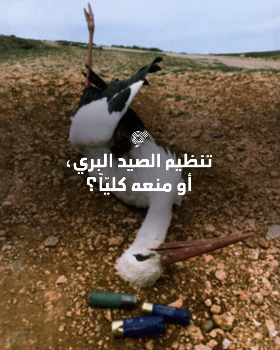 TERRE Liban tweet media