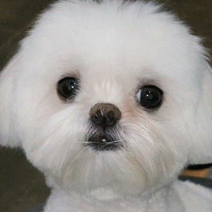 오늘 완전 소다수쟈나🥹