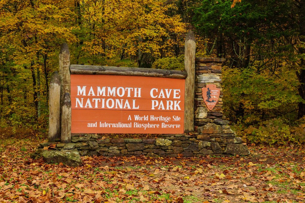 Mammoth Cave NP tweet media