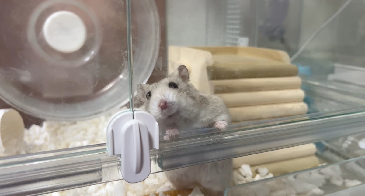 もなかのニヤケ面、お気に入りの1枚です