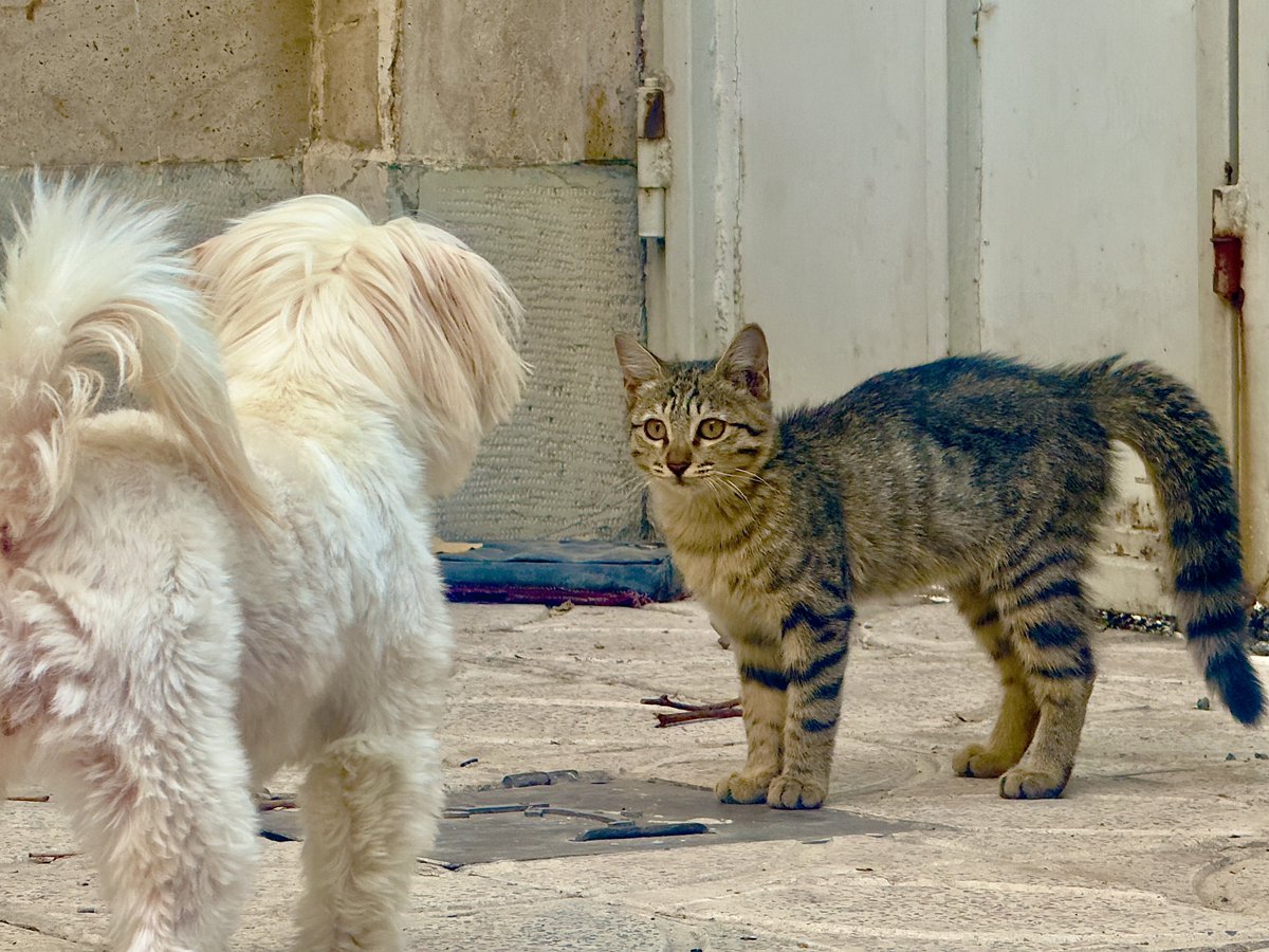 لحظاتی قبل از بیگ بنگ