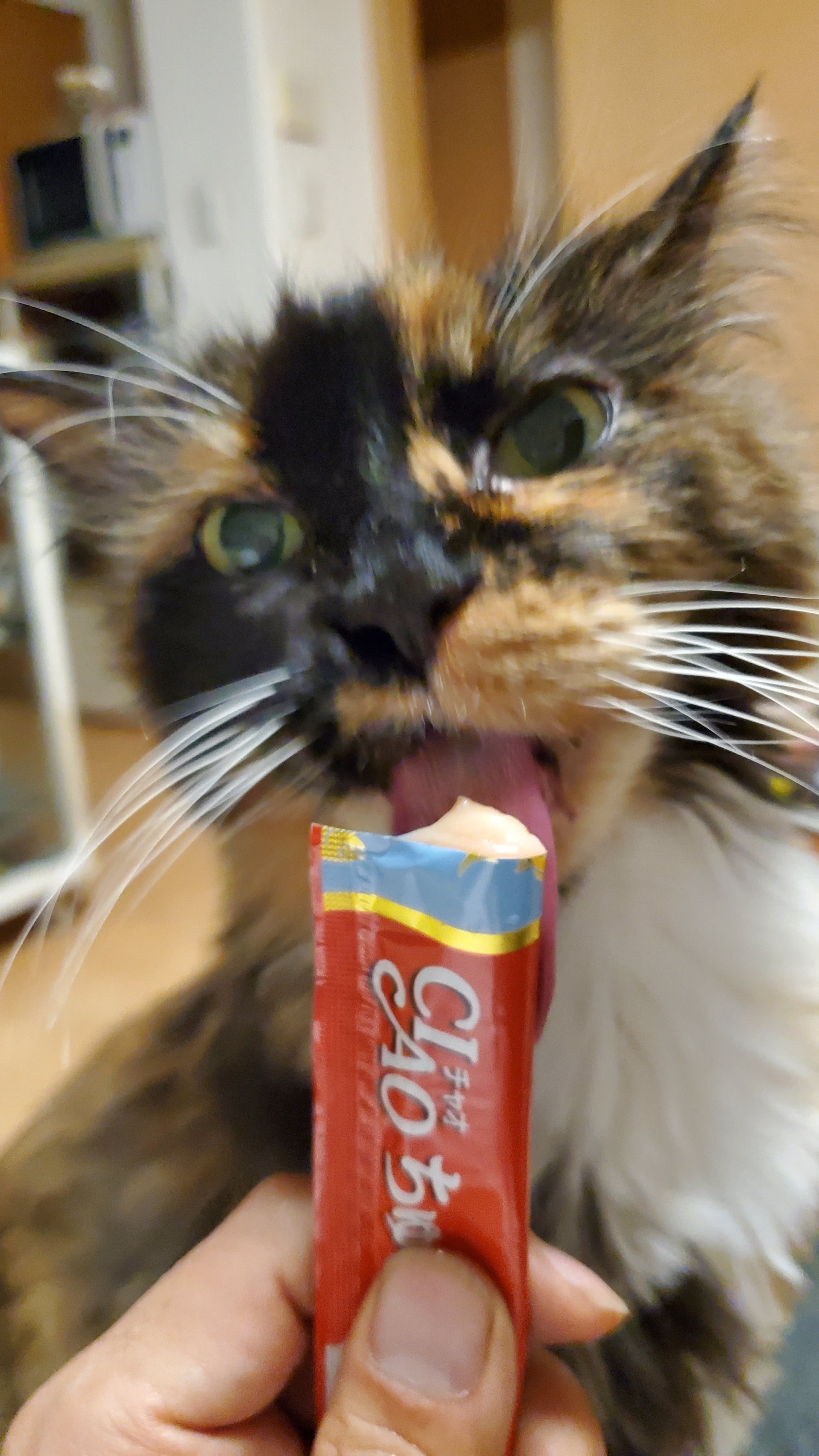 MARUchan (@c125maruchan) / X