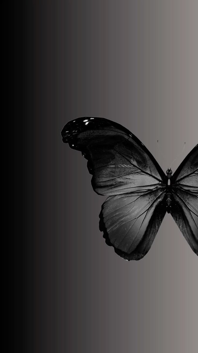 #papieroweTDSOD

,, Sam motyl symbolizował też intuicję, przemijanie, beztroskę, życie, odrodzenie oraz kruchość. "