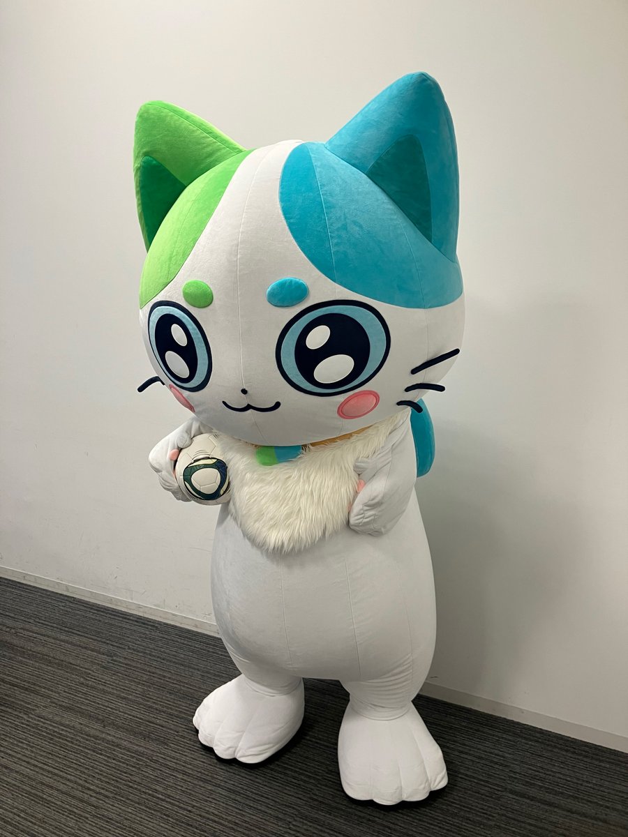 全国20名限定当選品 第一三共 ヘルスケア ねこいちさん ぬいぐるみグッズセット 第一三共ヘルスケア株式会社様 ご依頼実績 - プロモーション情報