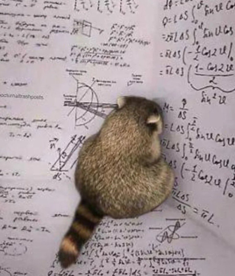 ✨하루✨ (@haru_is_neko) on Twitter photo 