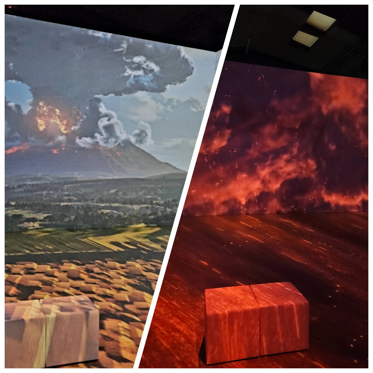 ERBEN Language Services tweet media