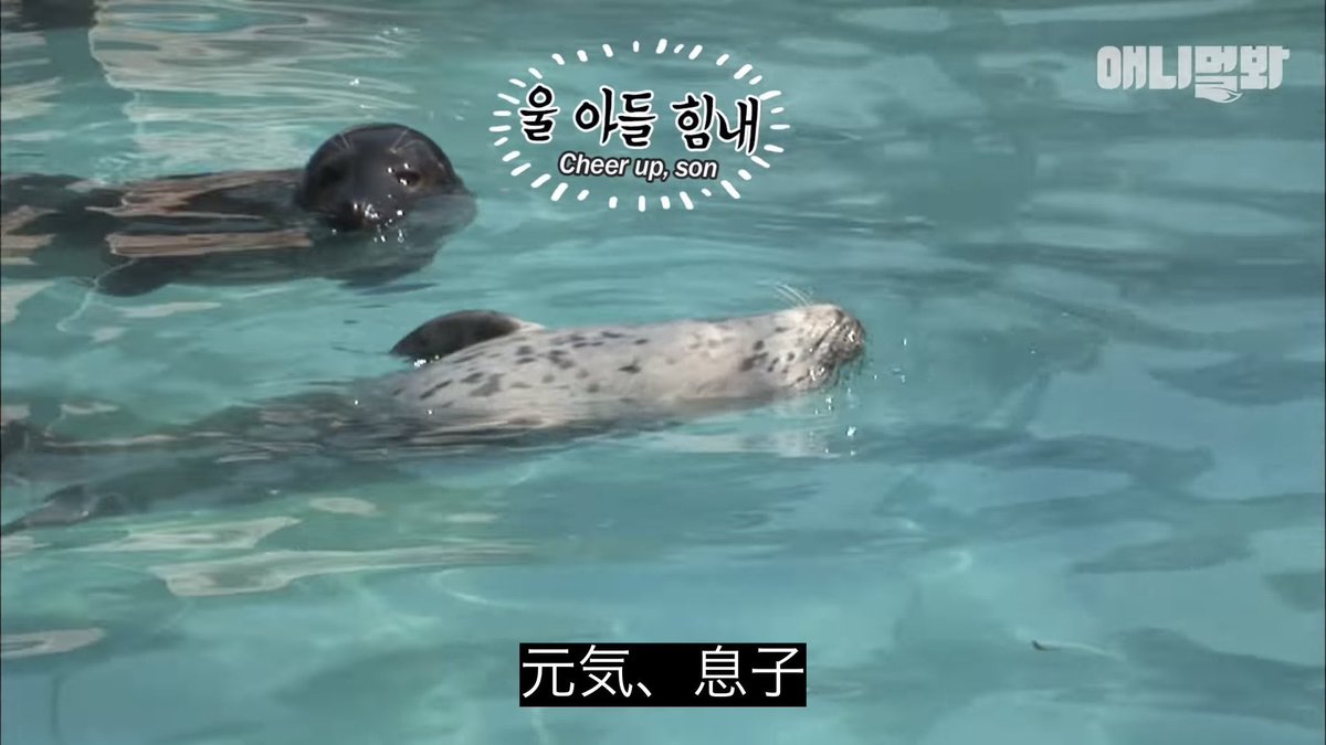 邪神龍ダークネス・タコス・ドラゴン (@t4cosrex) on Twitter photo 