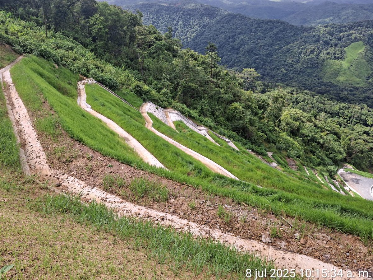 Gavin Kelly tweet media