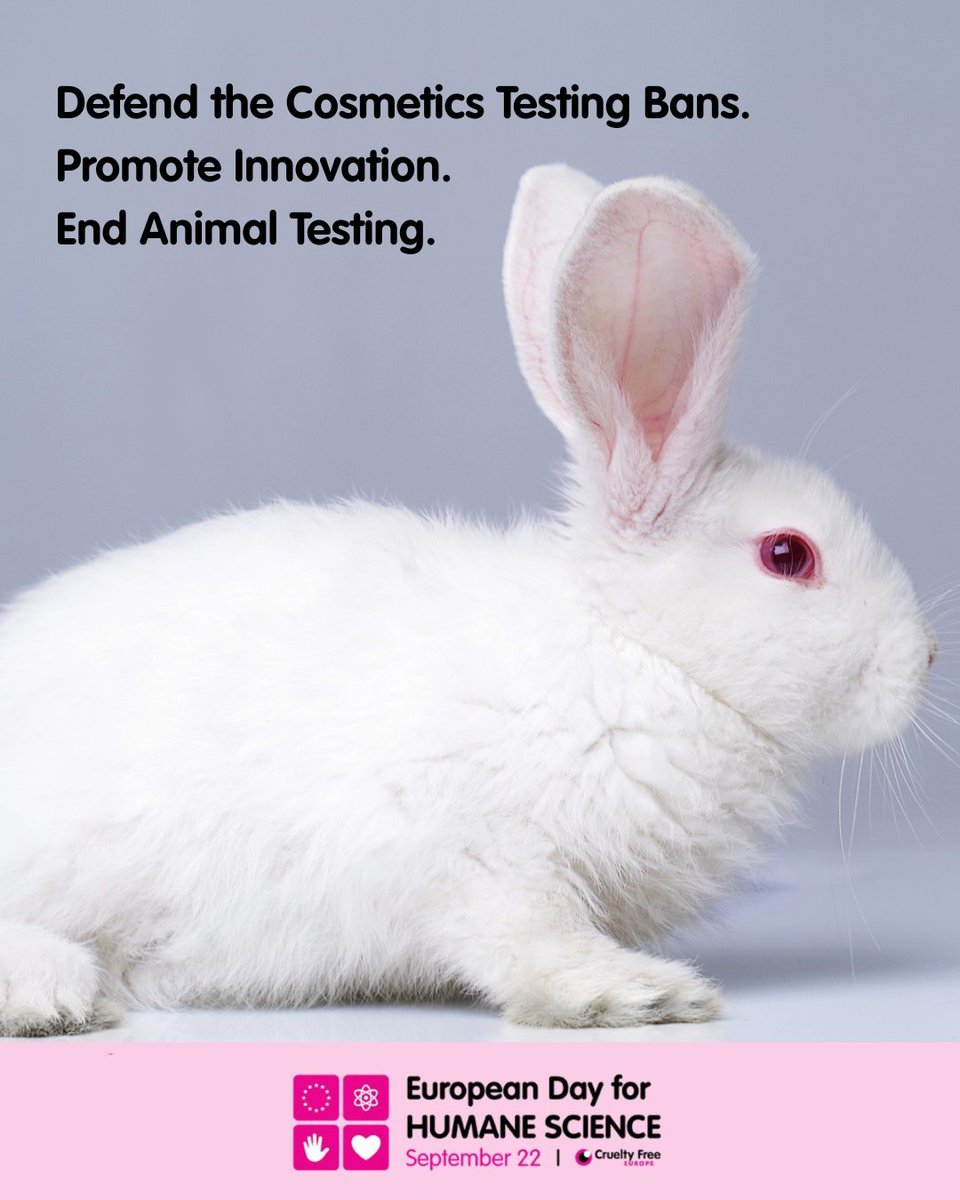 CrueltyFreeEU's tweet image. Europe was promised cruelty-free cosmetics but today, that promise is under threat.

On #EuropeanDayForHumaneScience, we urge the EU to:

- Defend and strengthen the animal testing bans
- Promote cruelty-free scientific innovation
- End animal testing for good

Spread the word 📢