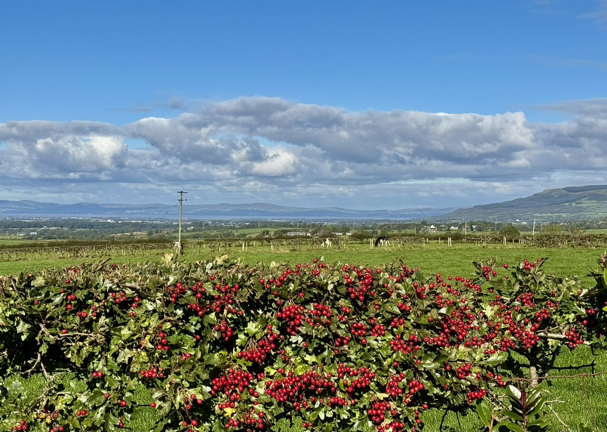 What a glorious Autumn Equinox morning from home in the Sperrins, overlooking Binevenagh and Donegal 🌞🍂⛰️ <a href="/bbcniweather/">BBC NI Weather</a> <a href="/UTVNews/">UTV Live News</a> <a href="/barrabest/">Barra Best</a> <a href="/WeatherCee/">Cecilia Daly</a> <a href="/Ali_Totten/">Ali Totten</a> <a href="/geoff_maskell/">Geoff Maskell</a> <a href="/WeatherAisling/">Aisling Creevey</a> <a href="/Schafernaker/">Tomasz Schafernaker</a> <a href="/bbcweather/">BBC Weather</a> <a href="/LynnParsonsUK/">Lynn Parsons</a> #autumnequinox