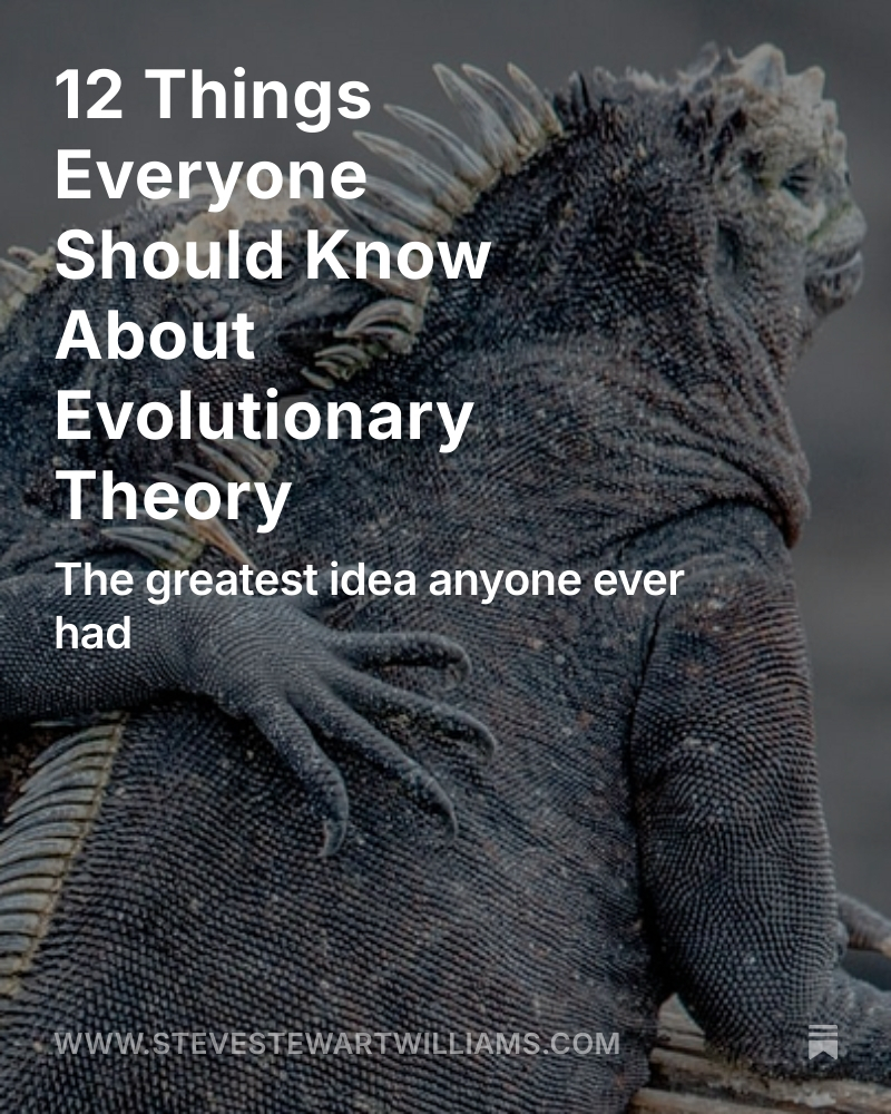 "Birds are dinosaurs: the only group of dinosaurs that survived the mass extinction 65 million years ago. So, the next time you see a pigeon strutting down the road or a seagull flying past your window, remember: You’re literally looking at a modern-day dinosaur."

[Link below.]