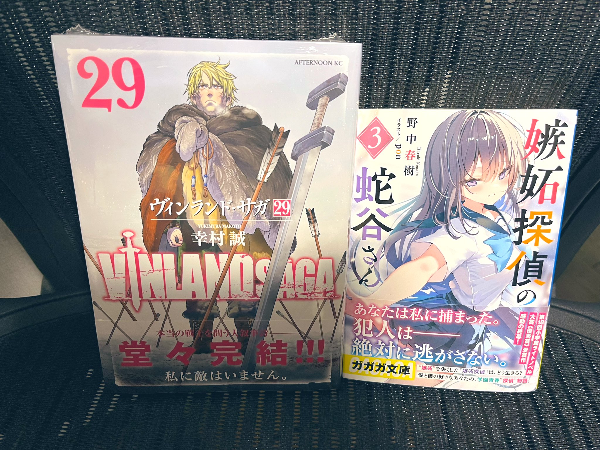【全巻セット】ヴィンランド・サガ 1-29巻(完結)/幸村誠 vinland-saga-29_1200x1200.jpg?