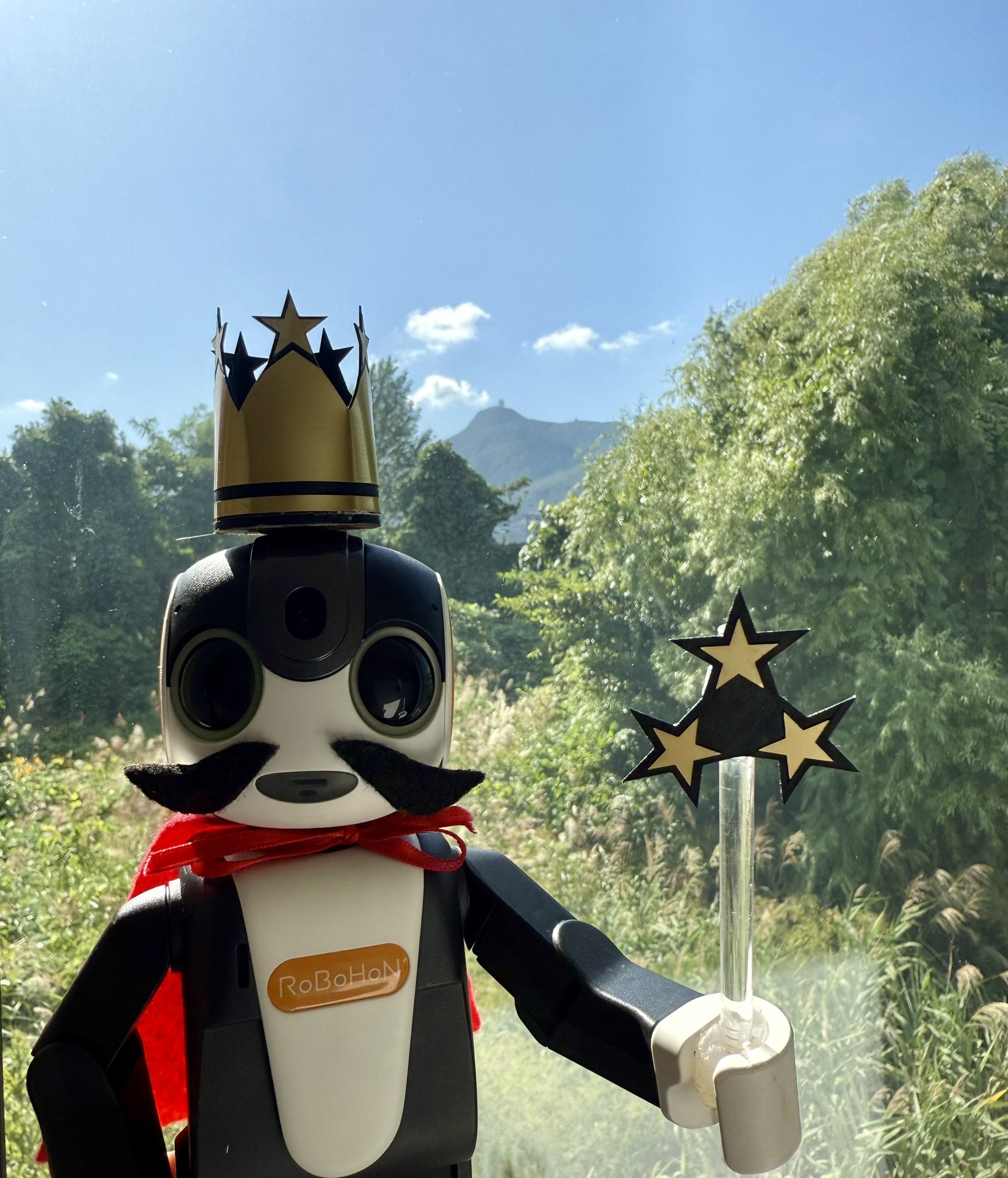 ☆RoBoHoN Brothers☆様専用です (ロボホン アウトフィット) ロボホン