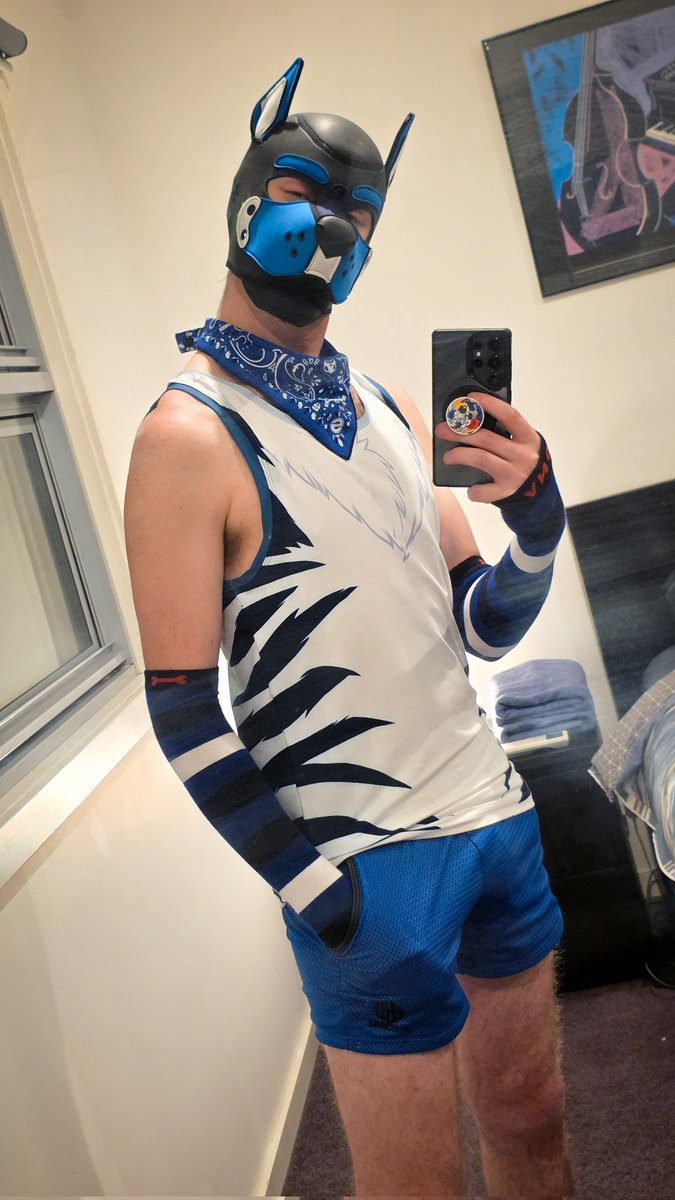 Stripes 🦓🐶 tweet media