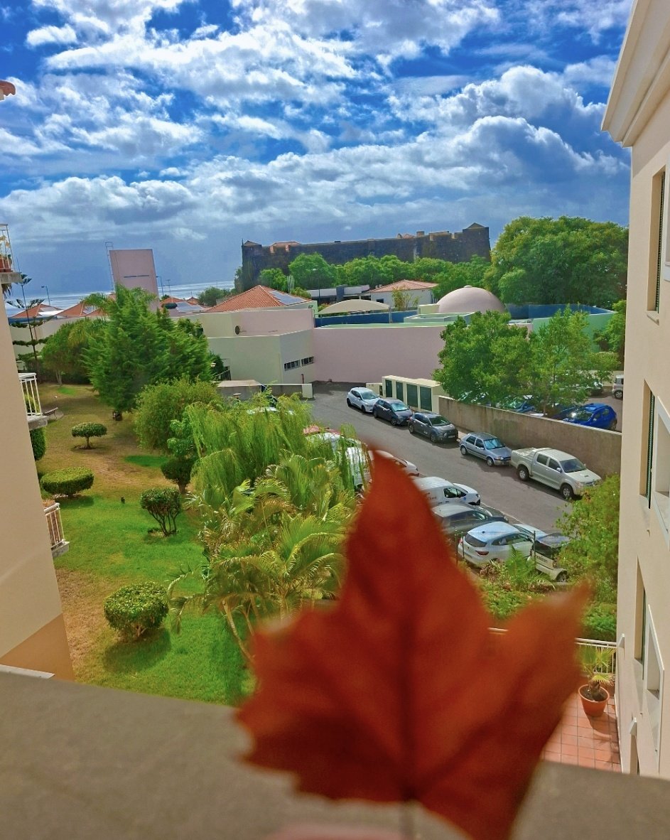 Welcome #Autumn!🍂🍁
#AutumnVibes
#Funchal #MadeiraIslands🏝
