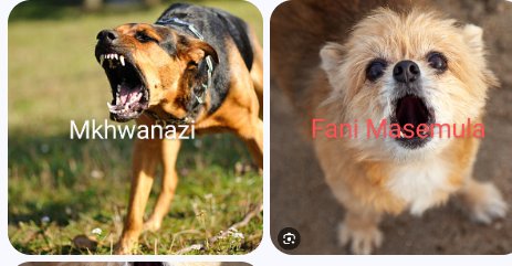 Difference between Masemula and Mkhwanazi