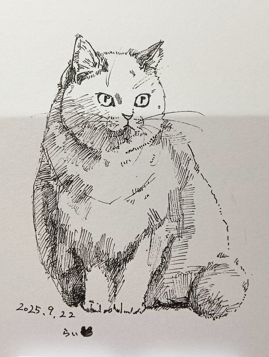 44.にゃんこ
#ペン画
#猫
