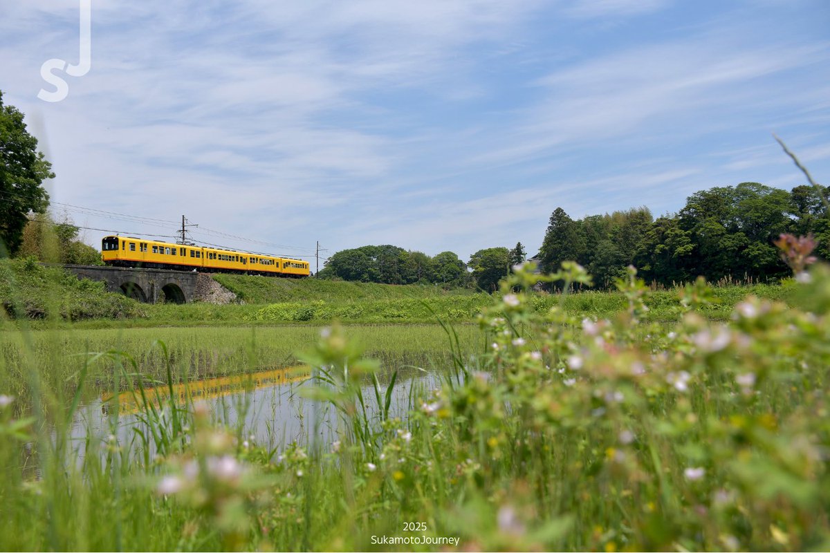 Sangi Railway Hokusei Line ini salah satu kereta unik di Jepang karena lebar sepurnya hanya 762mm.

Keretanya warna kuning, yang ternyata sangat cocok pas difoto di lansekap luas, karena semacam jadi warna netral antara Hijau alam, dan Biru langit.