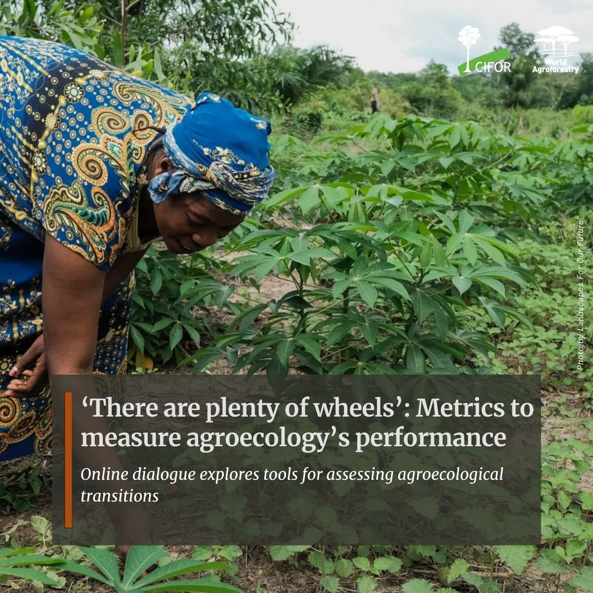 CIFOR-ICRAF tweet media